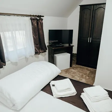 Casa Daiana Guest house Ocna Sugatag