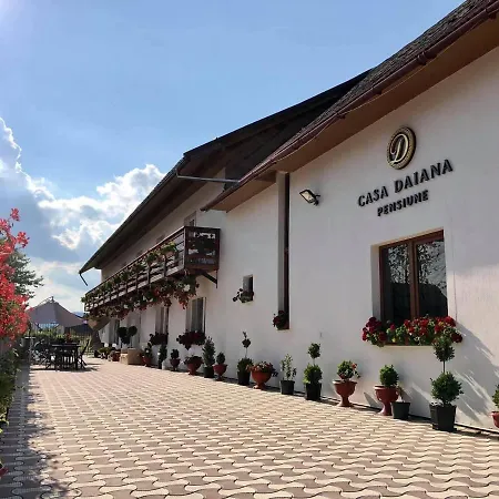 Casa Daiana Ocna Sugatag